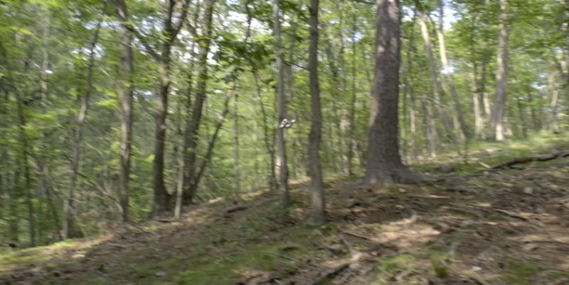 Screenshot - 2025-06-22 12:15:54 - Screenshot 2025-06-22 at 12.15.43 PM.png