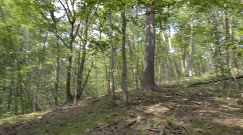 Screenshot - 2025-06-22 12:16:00 - Screenshot 2025-06-22 at 12.15.46 PM.png