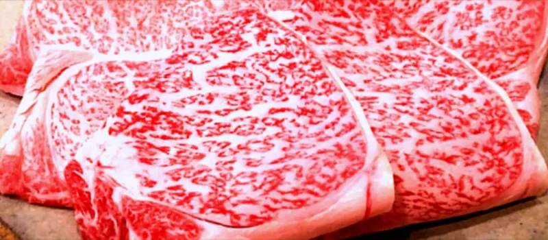 焼肉多牛の博多駅南店の口コミ 食レポ コスパが高いすき焼きを食べた感想まとめ 焼肉多牛の博多駅南店の口コミ 食レポ コスパが高いすき焼きを食べた感想まとめ