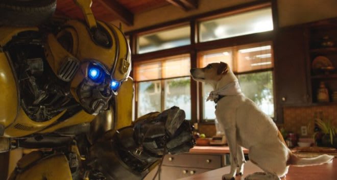 bumblebee with dog