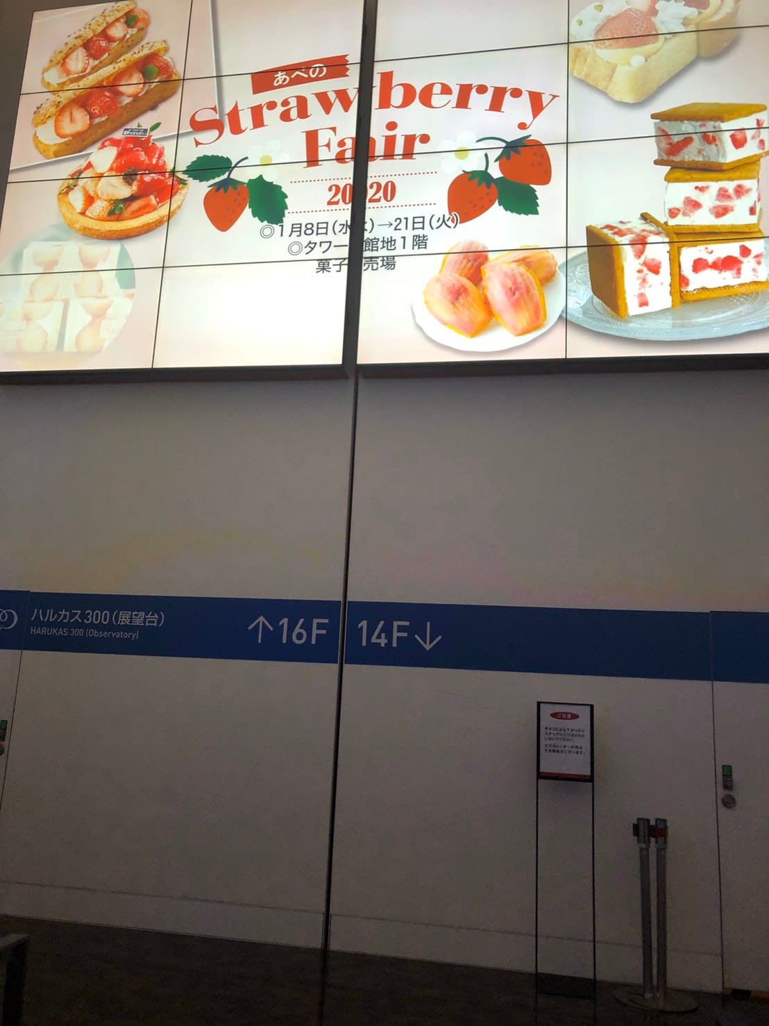 カラヴァッジョ展別ルート (4)
