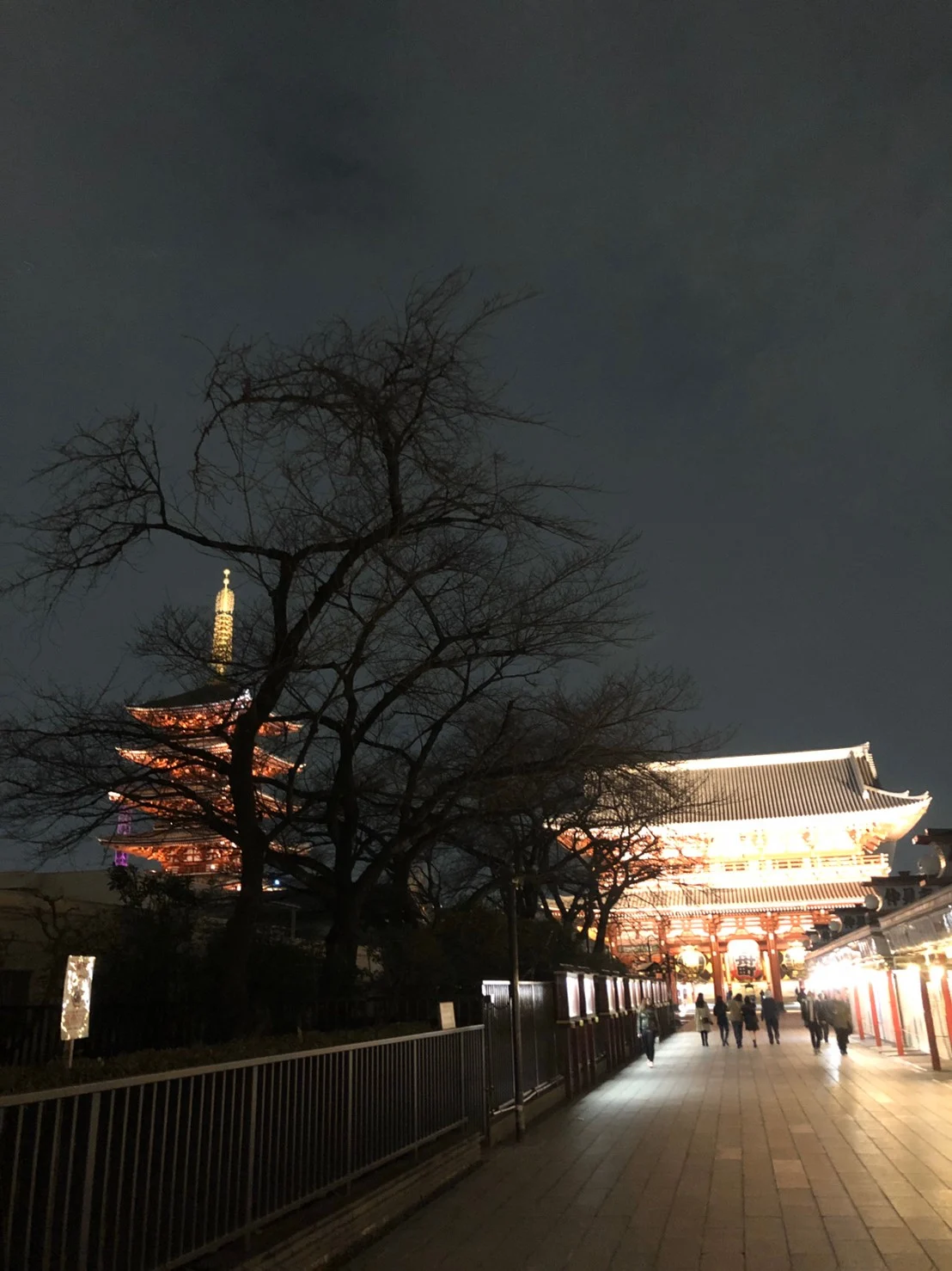 浅草寺がライトアップされている夜のお参りは混雑がなくておすすめ ハナシのネタとメシのタネ