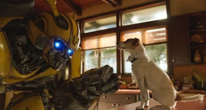 bumblebee with dog