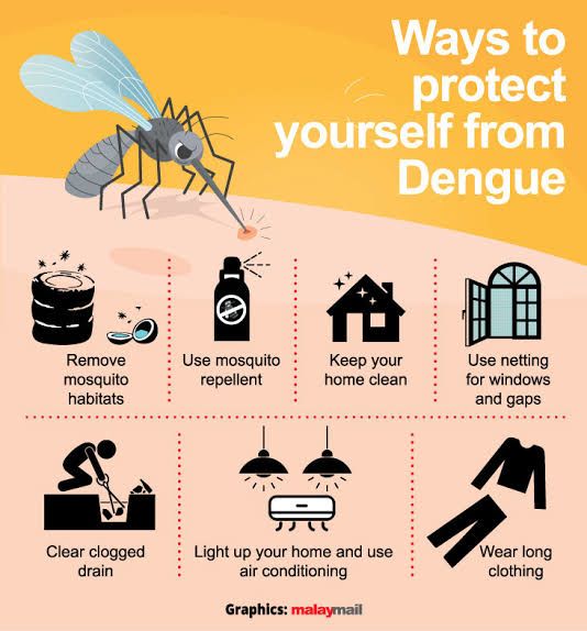 ways to protect from dengue