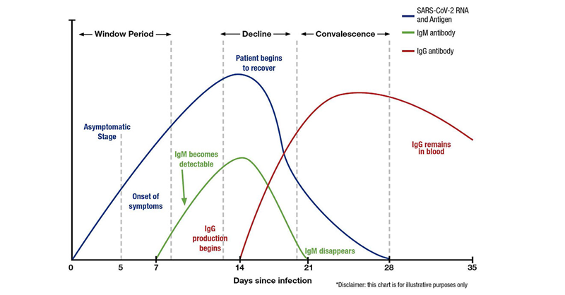 graphical representation of Igg sero testing