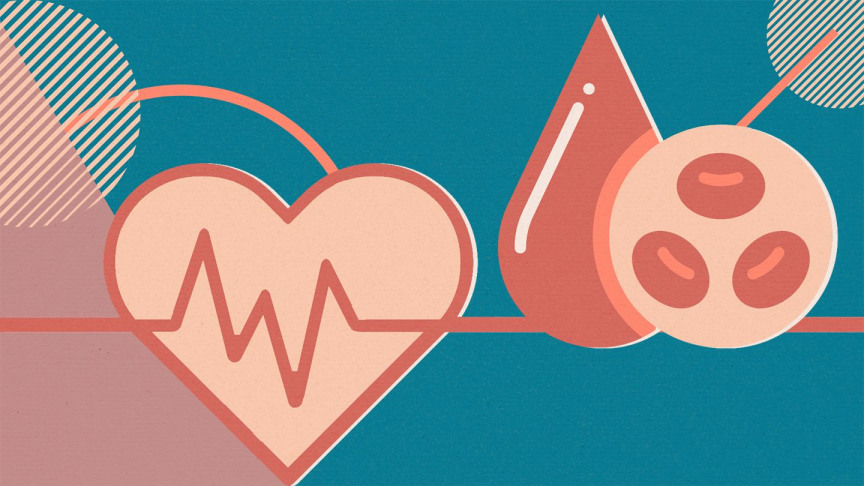 Cholesterol and Heart Health: What You Need to Know