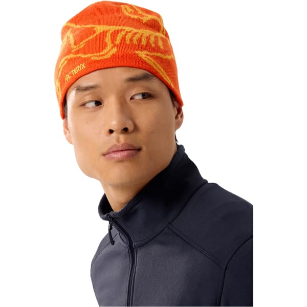 ARC'TERYX-BIRD HEAD TOQUE SOLARIS / EDZIZA - Ski touring ski