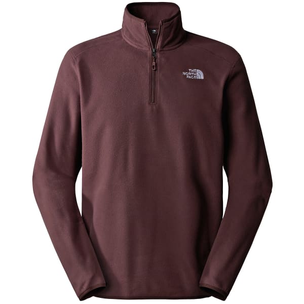Men's 100 glacier pullover online