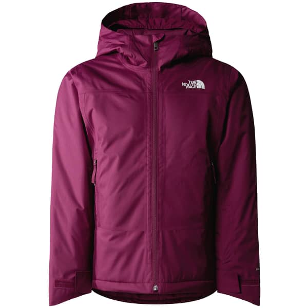 The north face freedom insulated cheap