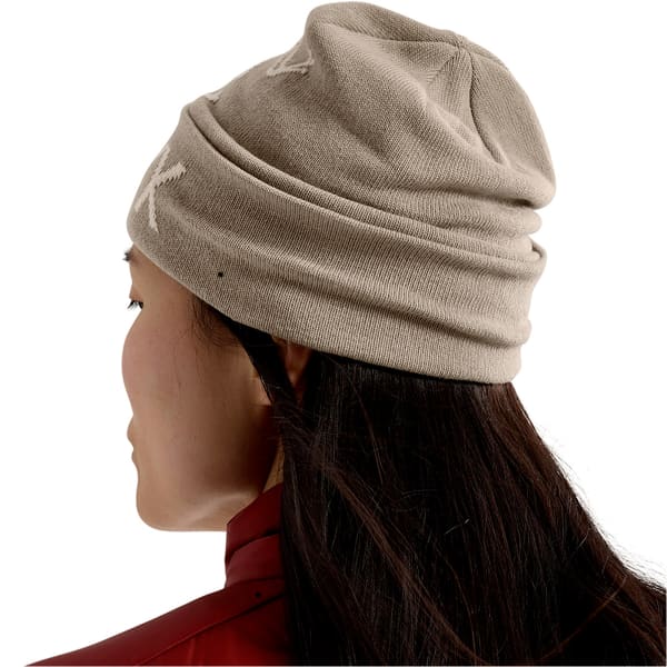 ARC'TERYX-BIRD HEAD TOQUE RUNE / ARCTIC SILK - Ski beanie