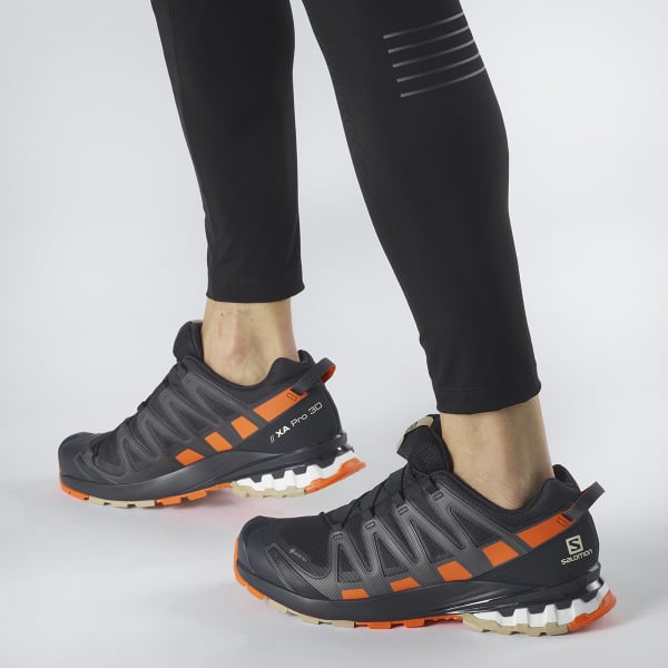 SALOMON-XA PRO 3D V8 GORE-TEX NIGHT SKY/RED ORANG/SAFARI
