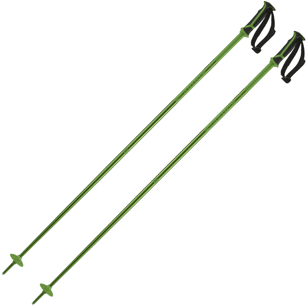 Salomon arctic ski poles discount