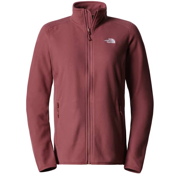 100 glacier the north face store