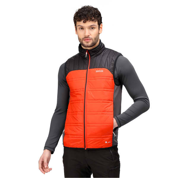 Regatta halton jacket store