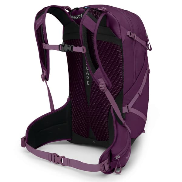 Osprey daylite purple sale