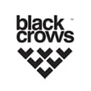 Black Crows