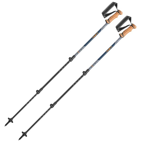Leki legacy poles discount
