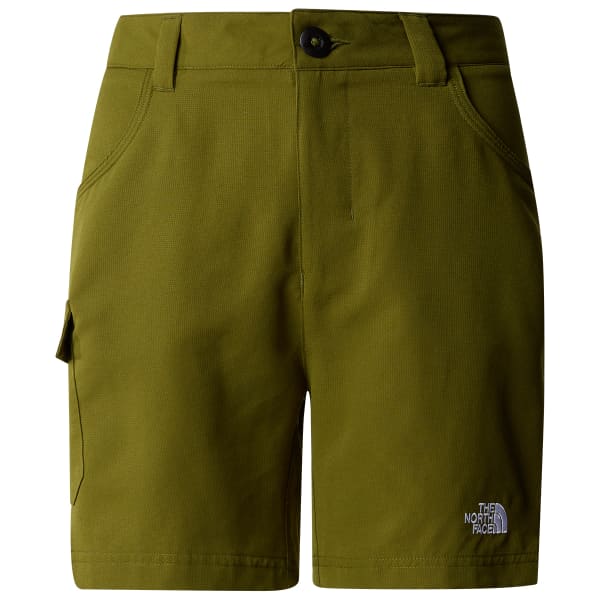 The north face horizon shorts sales