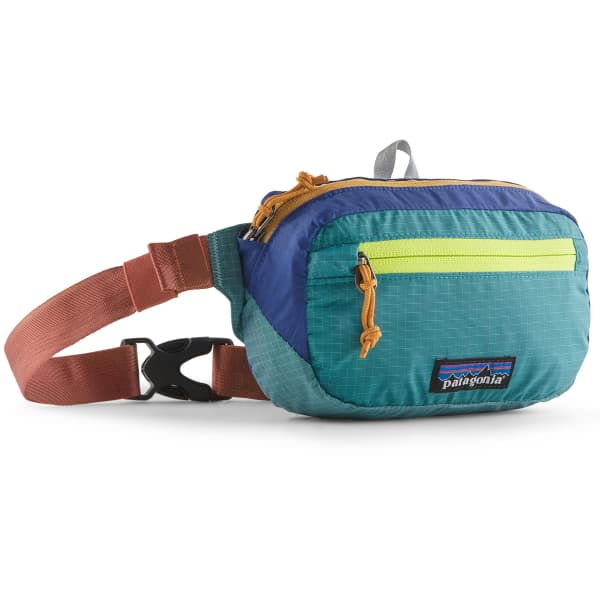 Patagonia bum bag new arrivals