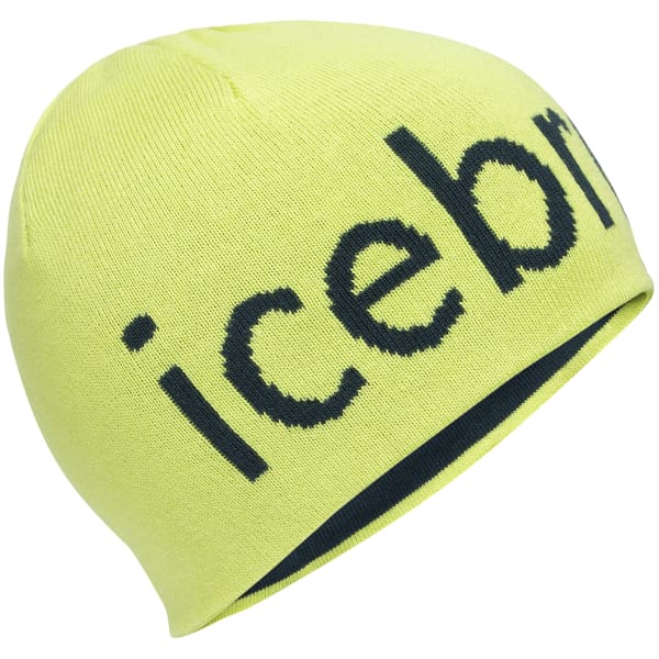 Icebreaker mogul beanie new arrivals
