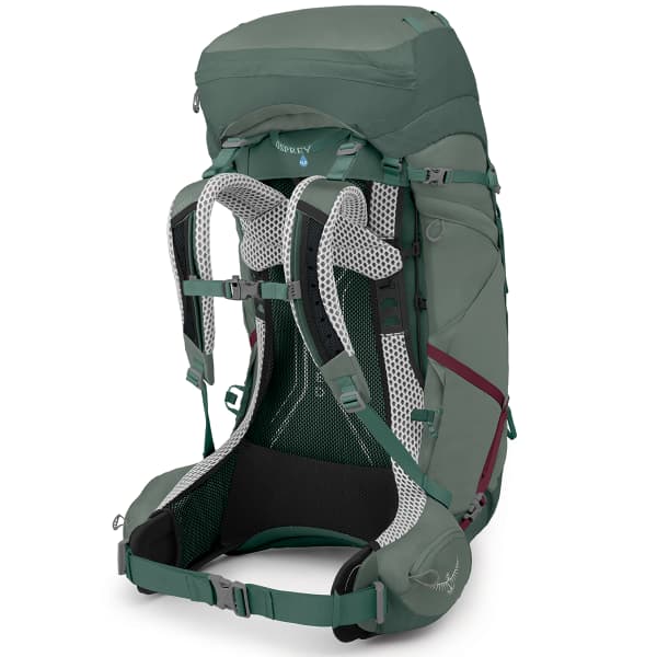 Ariel 65 ag osprey 2025