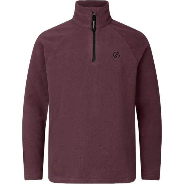 DARE 2B FREEHAND FLEECE JR HUCKLEBERRY - Fleecepullover