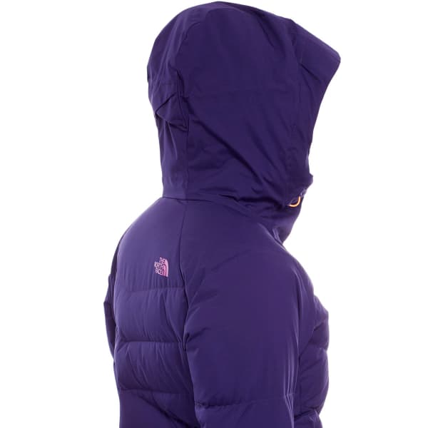 North face shop point it down