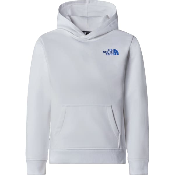 The north face hoodie white 2025