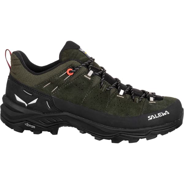 Salewa alp trainer gtx online