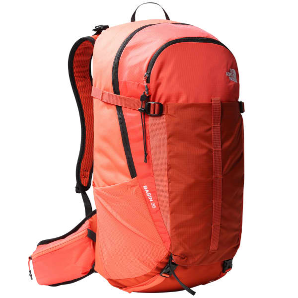 North face sale retro backpack