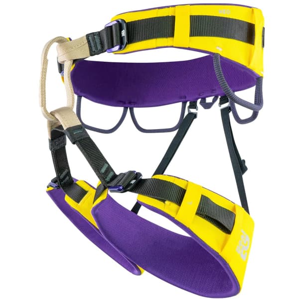 Jaune / Violet