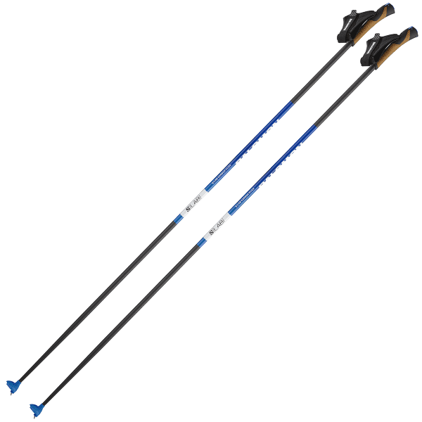 Salomon s lab poles cheap