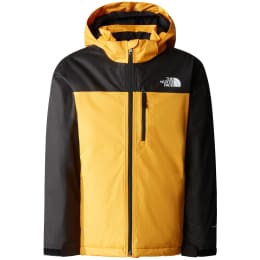 veste ski the north face enfant freedom insulated Chlorophyll Green the  north face :  - Achat ski, vente matériel de ski, snowboard,  vente blouson et pantalon ski technique et accessoire montagne.