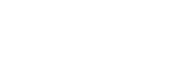 Logo Salomon SLab