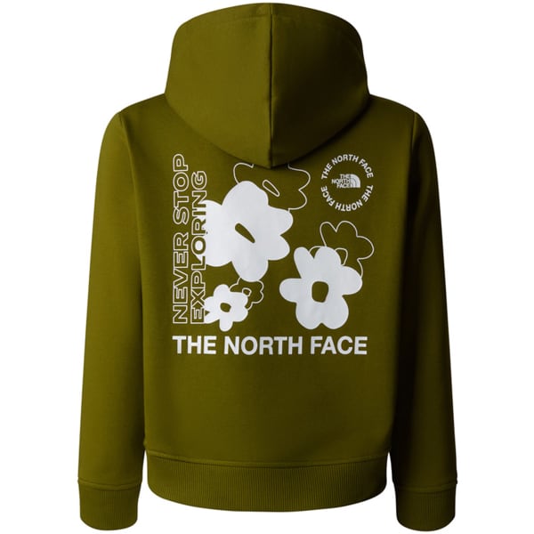 The north face never stop exploring hoodie 2025