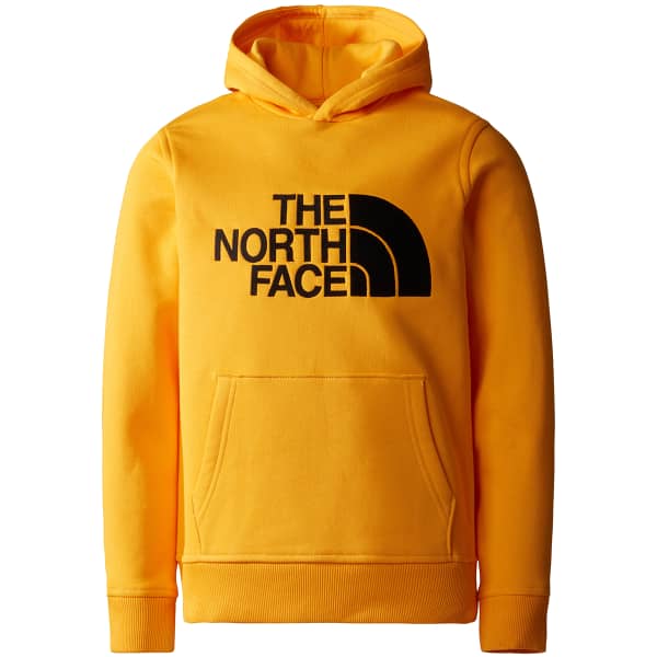 North face youth shop drew peak hoodie