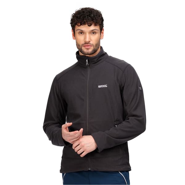 REGATTA STANNER II ASH Hiking fleece jacket