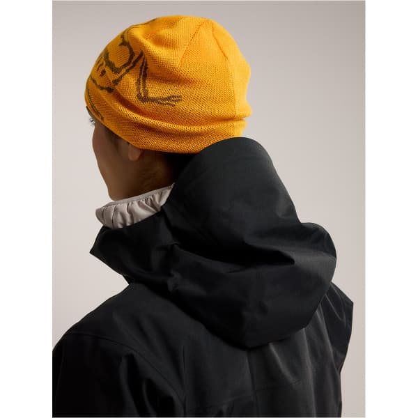 ARC'TERYX-BIRD HEAD TOQUE EDZIZA/RELIC - Ski beanie