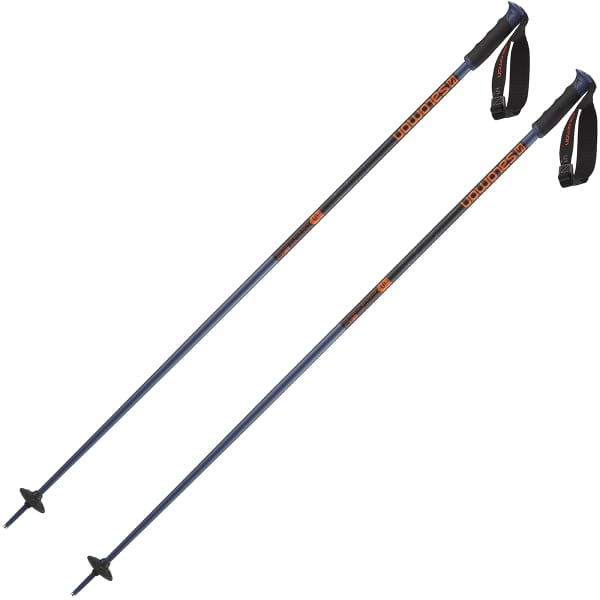 Salomon arctic s3 ski poles shop