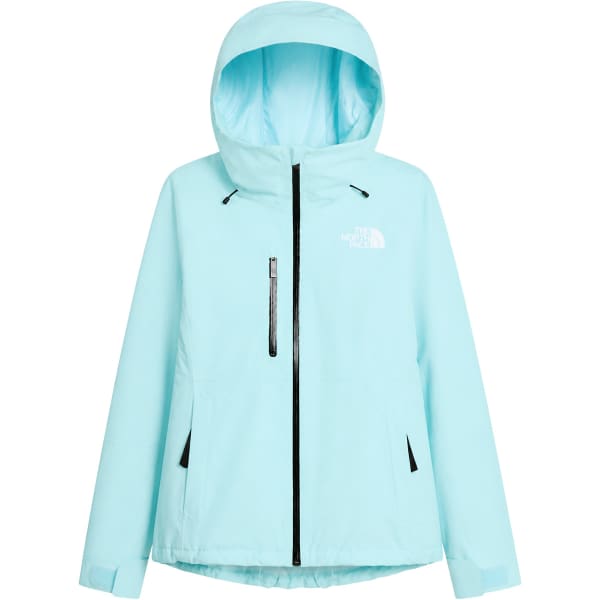 The North Face W DESCENDIT JACKET