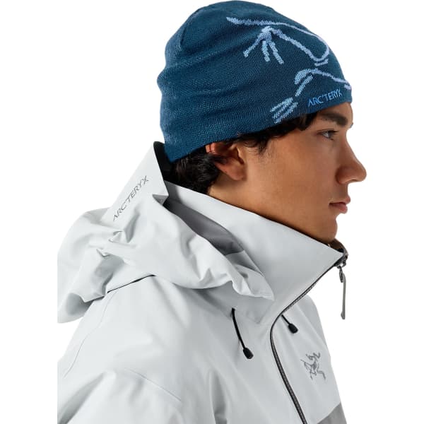 ARC'TERYX BIRD HEAD TQ NIGHTSCAPE/GLACIAL - Ski touring ski