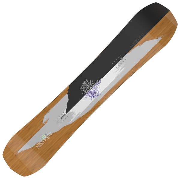 Salomon assassin snowboard 2025