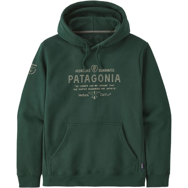 Patagonia green best sale hoodie