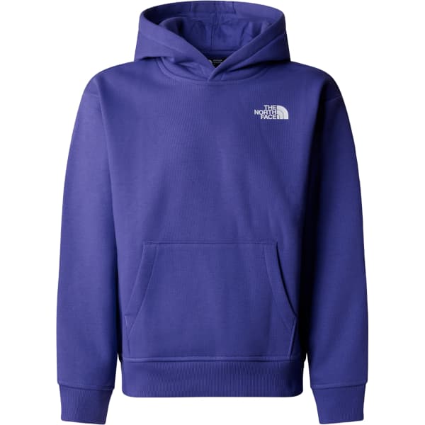 North face purple hoodie store