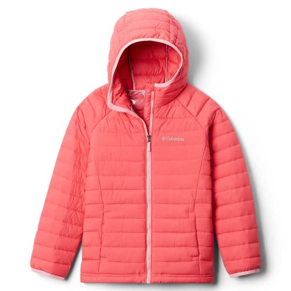 Champion jacket toddler new arrivals