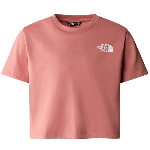 Maglia the north face rosa hotsell