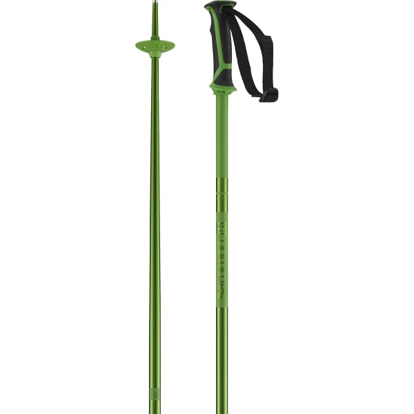Salomon arctic ski pole new arrivals