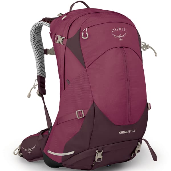 Osprey backpack purple clearance