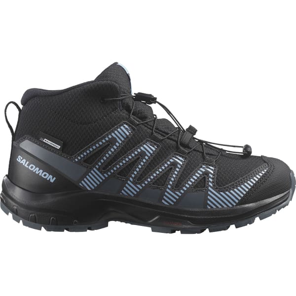 Salomon xa pro cswp store