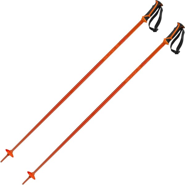 Salomon arctic poles discount